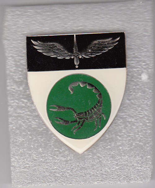 2 RECCE  REGT 2nd PATTERN SHOULDER FLASH 3 PINS