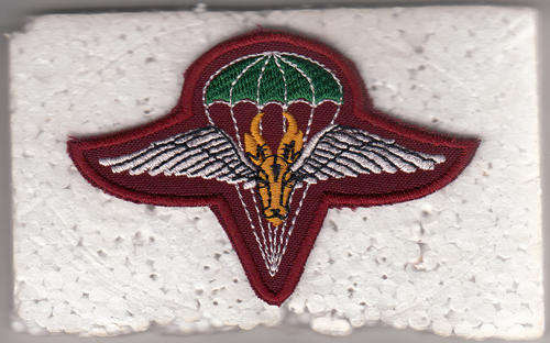 1 PARA BATTALION BERET BADGE OTHER RANKS