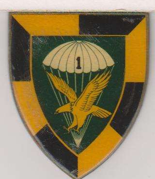 1PARA BATTALION SHOULDER FLASH ALL PINS