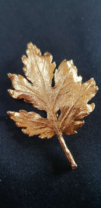 Large leaf brooch