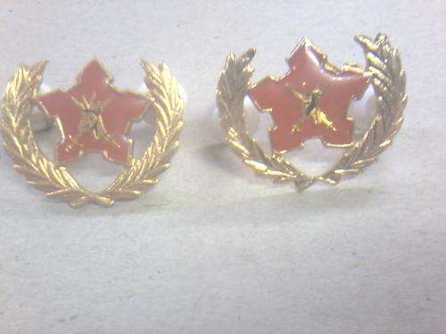 see picture - militaria badge