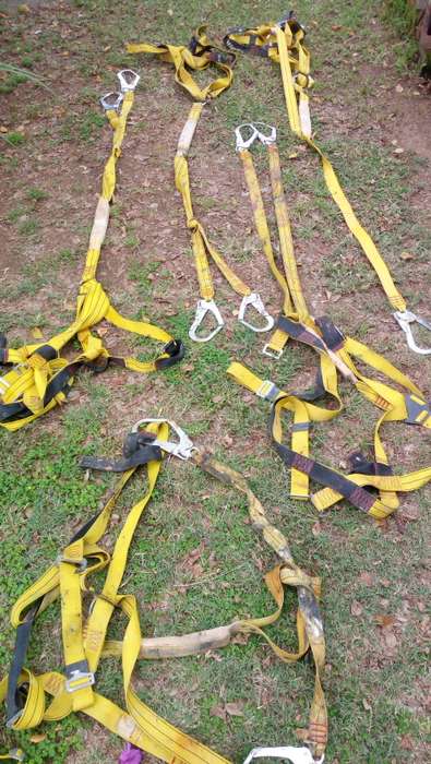 Safety harness