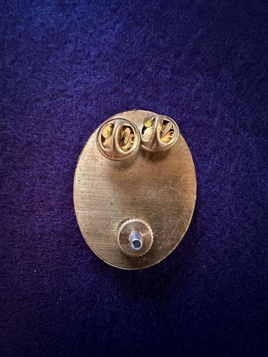 South West Africa Territorial Force (SWATF) Headquarters Beret Badge