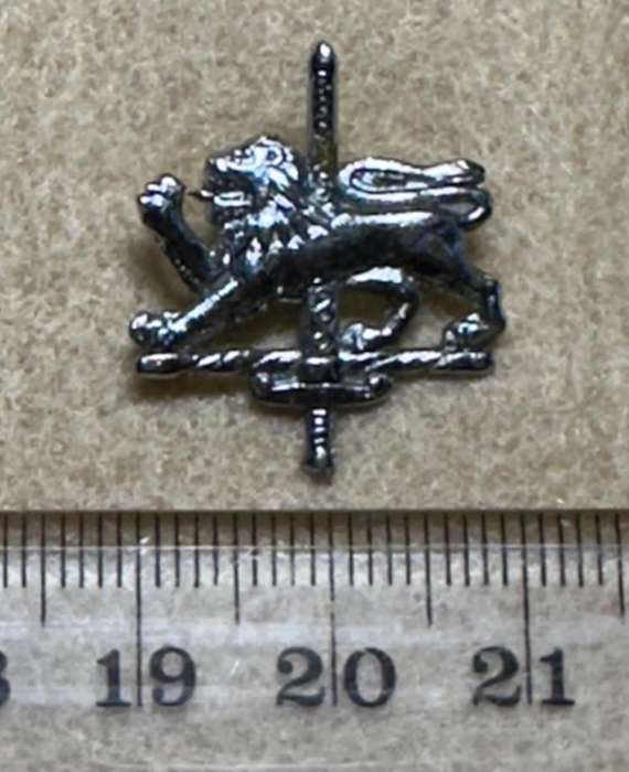 Rhodesian Prison Service - SINGLE PRISON SERVICE CHROME COLLAR