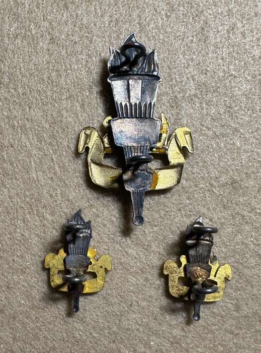Rhodesian Educational Corps - SET BERET AND COLLAR BADGES METAL