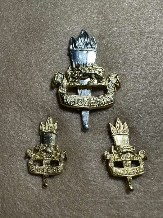 Rhodesian Educational Corps - SET BERET AND COLLAR BADGES Anodised