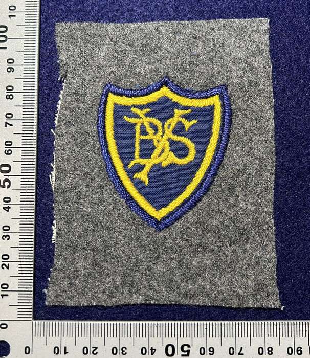 Rhodesia - BYS BADGE