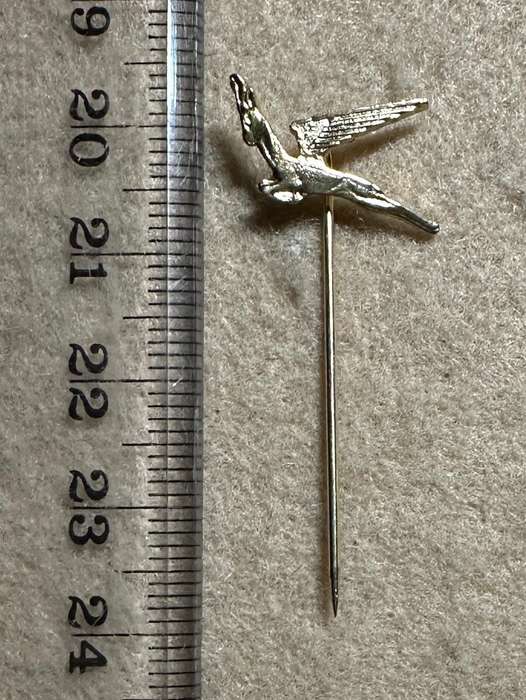 South African Civil Aviation - SAA FLYING SPRINGBOK PIN