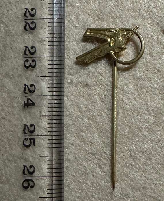 South African Civil Aviation - SAA SPRINGBOK PIN VARIATION