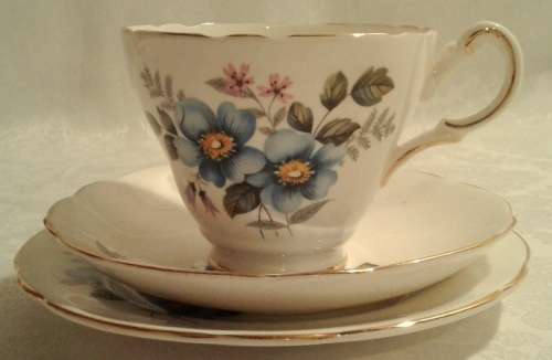 Delightful Vintage Grosvenor Bone China - Trio