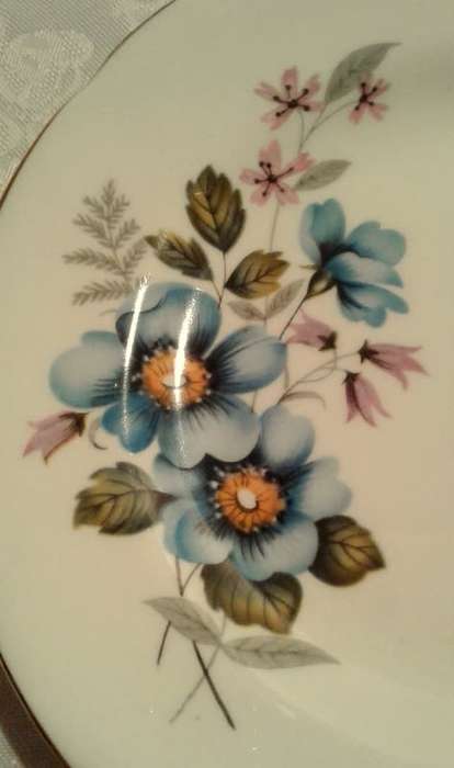 Delightful Vintage Grosvenor Bone China - Trio