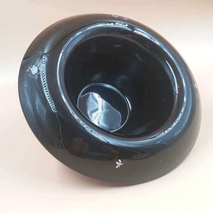 Depression Gloss Black Serving Bowl with a Waterfall Lip Edge