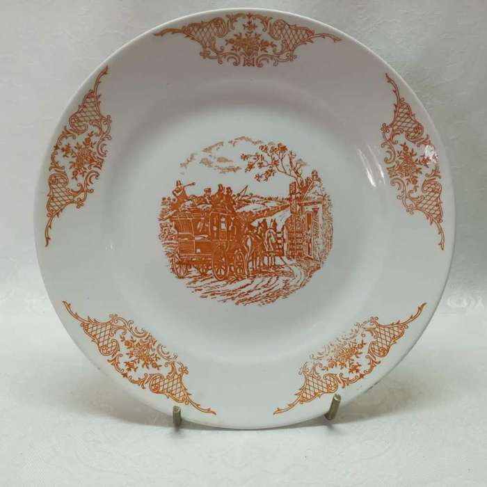 Brazilian plate. Porto Ferreira.