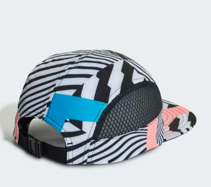 Adidas Terrex Aeroready Five-Panel Graphic Cap