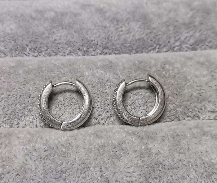 Dazzling Silver Earrings