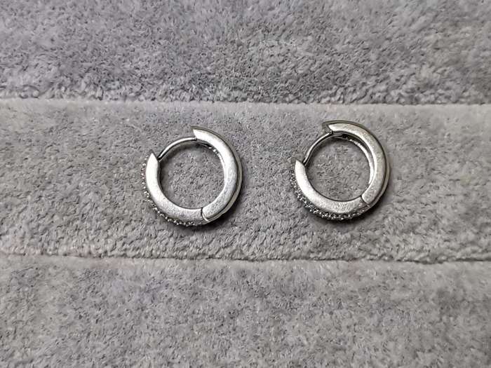 Dazzling Silver Earrings
