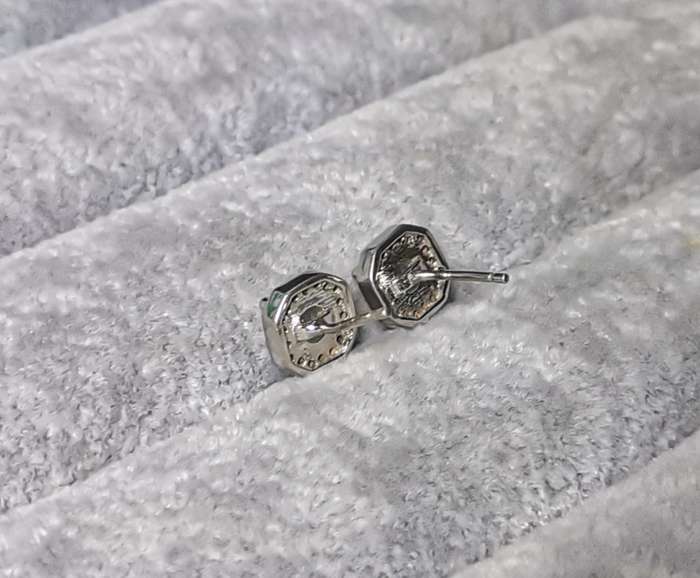 Dazzling Silver Earrings