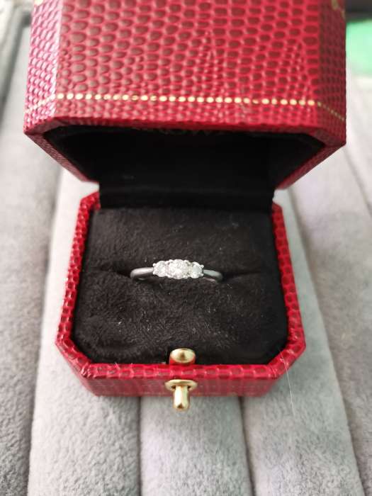 BROWNS Platinum Claw Set Protea Trilogy Ring