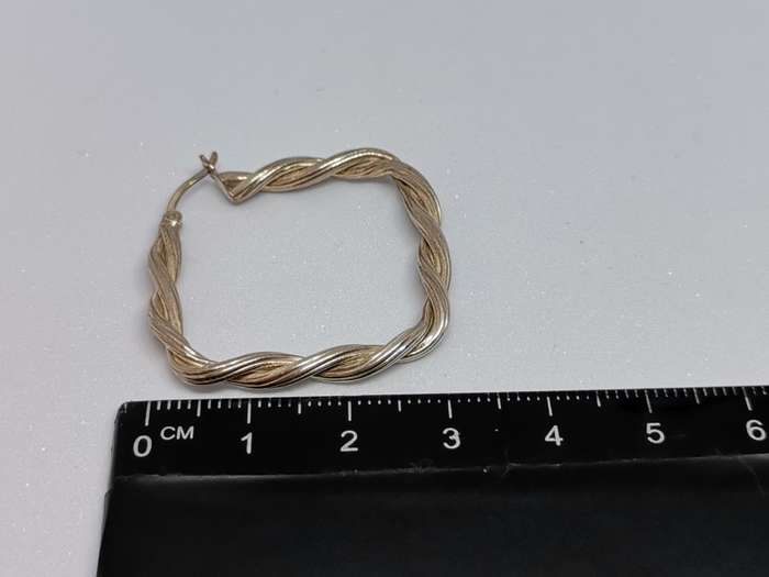 Silver Hoop Earrings