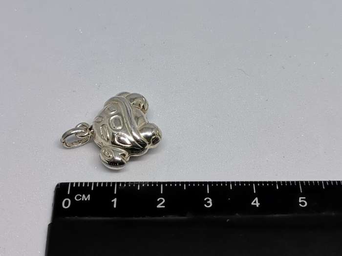 Silver Tortoise Pendant
