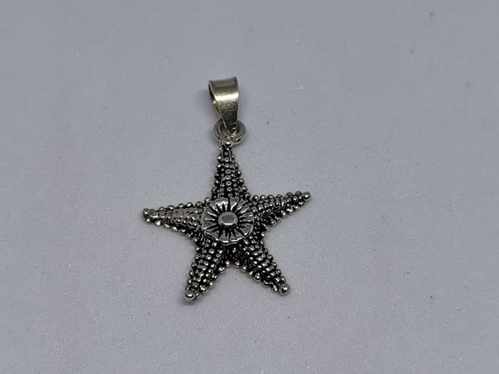 Silver Sea star Pendant