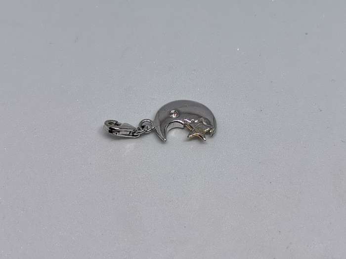Silver Moon Charm