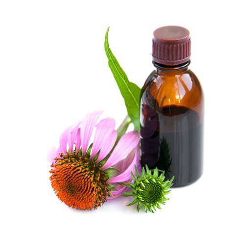 Asthma Chest Remedy Tincture 50ml