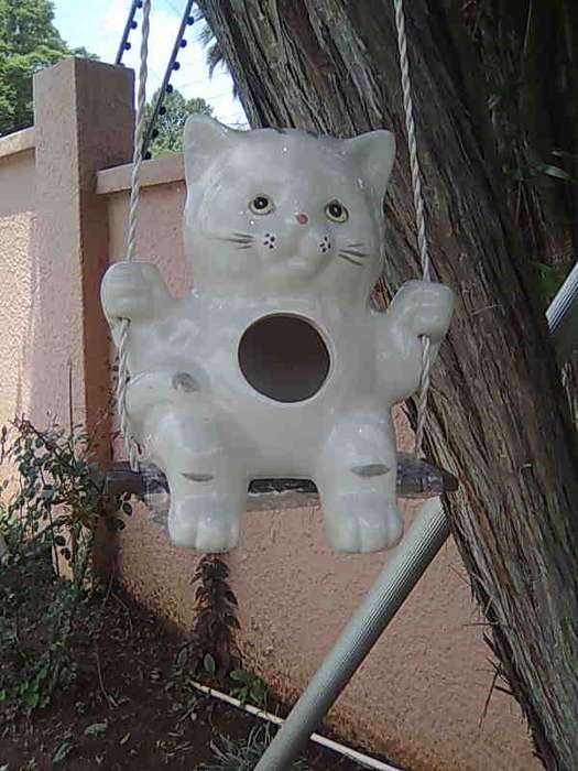 CAT BIRD FEEDER