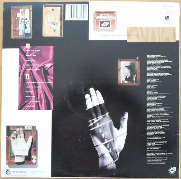 Suzanne Vega - Days of Open Hand