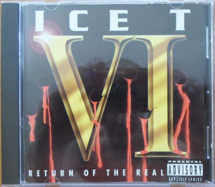 Ice T - VI: Return of the Real