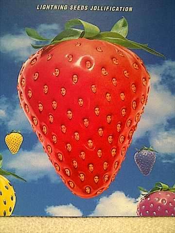 Lightning Seeds : Jollification : PREOWNED CD
