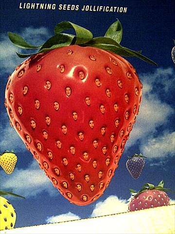 Lightning Seeds : Jollification ( CD FOR SALE )