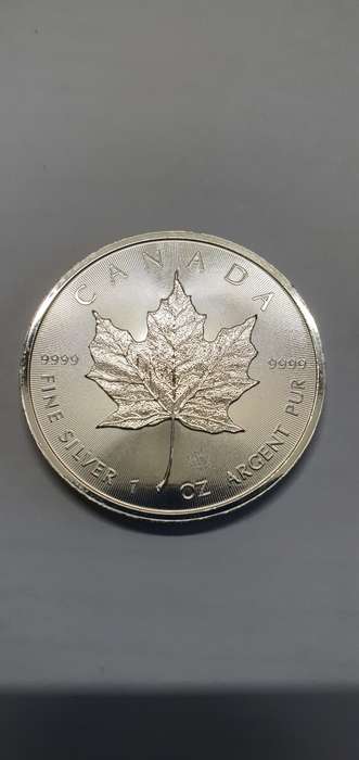1 ounce Canadian Maple pure silver coin