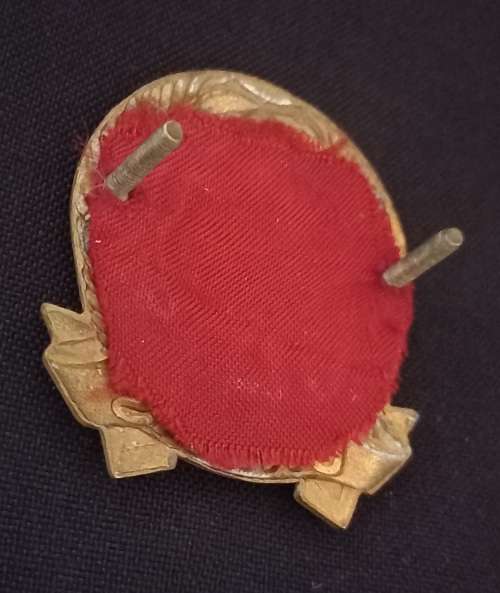SADF. Unitas Cap Badge               X28