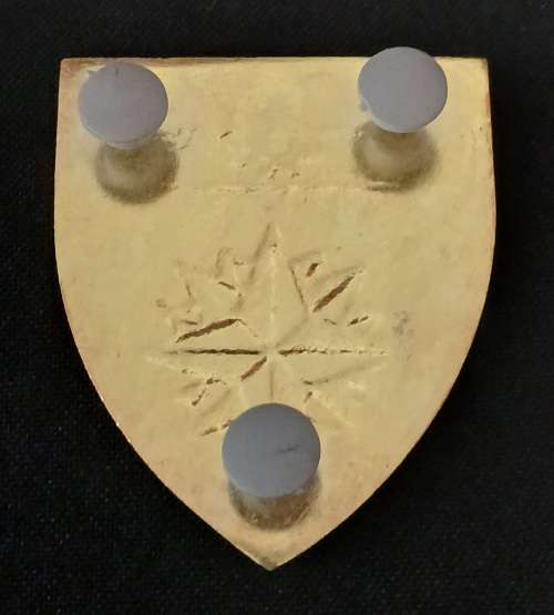 Special Forces Supply Depot  Shoulder Flash                   O36