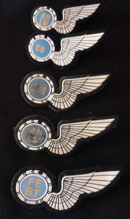 South African Air Force Wings      ( Note condition  )  All Pins Intact                 O65