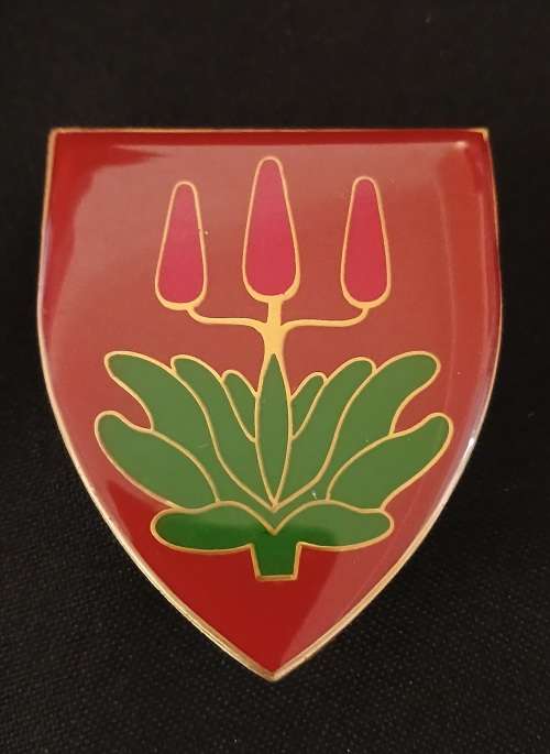 SADF EAST LONDON COMMANDO Shoulder Flash                         D14