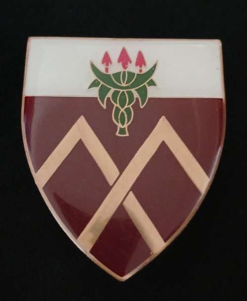SADF AMATOLA COMMANDO Shoulder Flash              D28