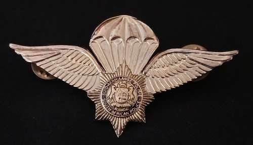 Special Task Force Parachute PARA Wing Badge Old Coat of Arms            F32