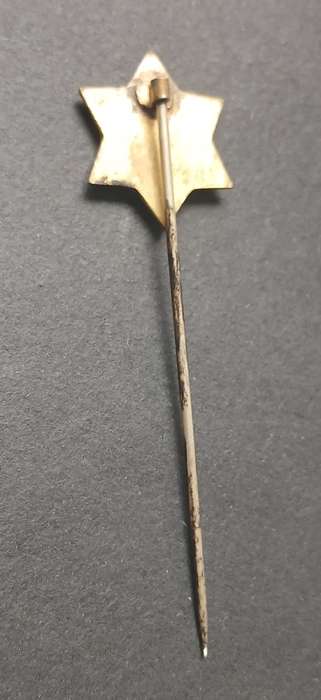 Vintage CHRISTIAN HERALD GOLDEN STAR BRIGADE Enamel Pin Badge                   M38