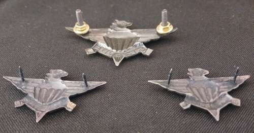 3 Parachute Battalion Beret And Collar Badges                          F85