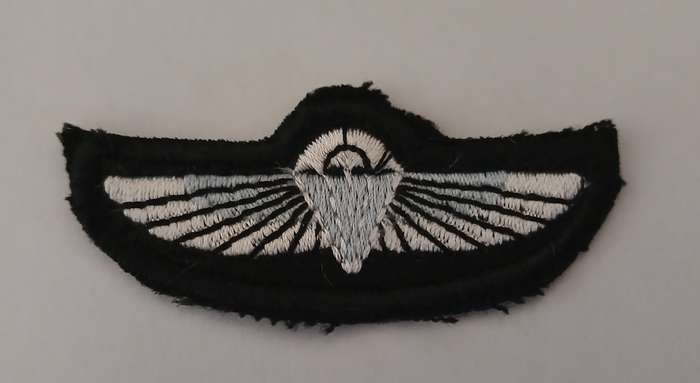 British SAS Parachute Wings                     F121
