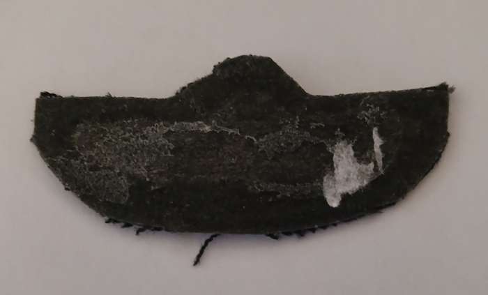 British SAS Parachute Wings                     F121