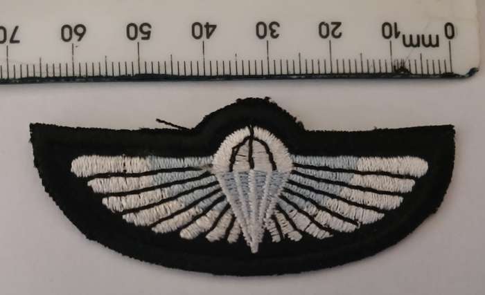 British SAS Parachute Wings                   F122