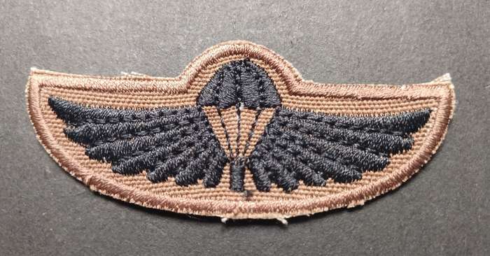 Air Supply Instructor Breas Badge                      F124