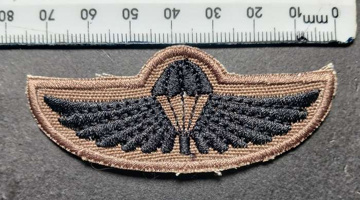 Air Supply Instructor Breas Badge                      F124