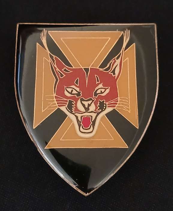 7 SAI BATTALION SHOULDER FLASH              D80