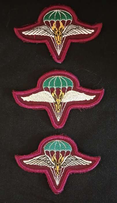 SADF 1 Parachute battalion cloth beret badges ---- 3 Types   ( One Bid For The 3 Badges )     F177