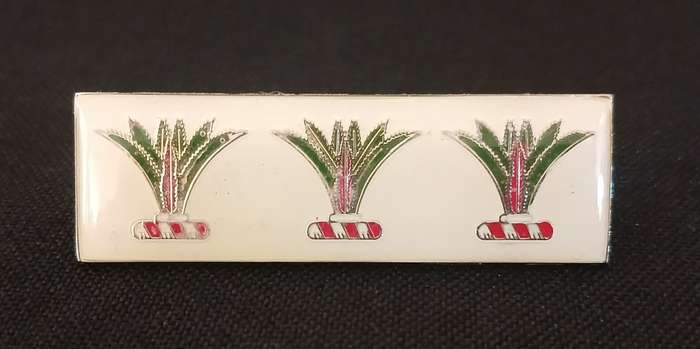 South West Africa Army Sector 10 OSHAKATI  Command Bar (Balkie)              F204