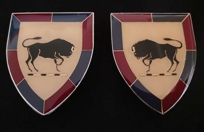 South Africa Army College Shoulder Flashes                      H50